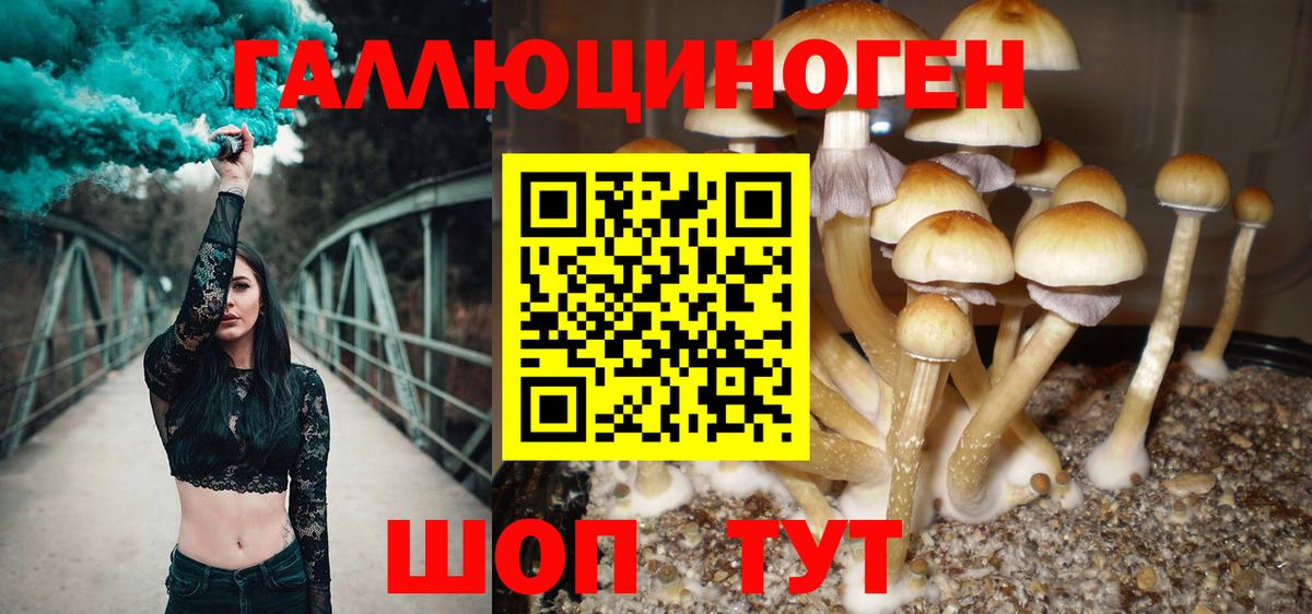 Псилоцибиновые грибы мухоморы  Вход с VPN  Галлюциногенные грибы мухоморы  Пенза 